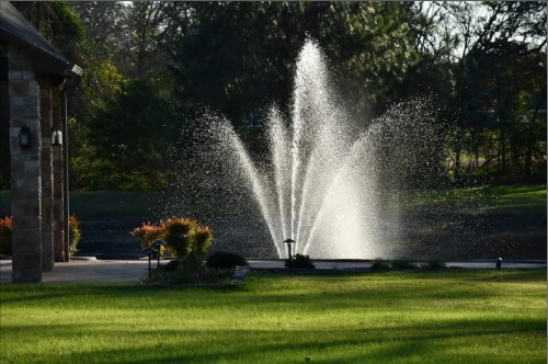 3/4 HP Pond Pump Guide: Choose the Best for Your Water Feature