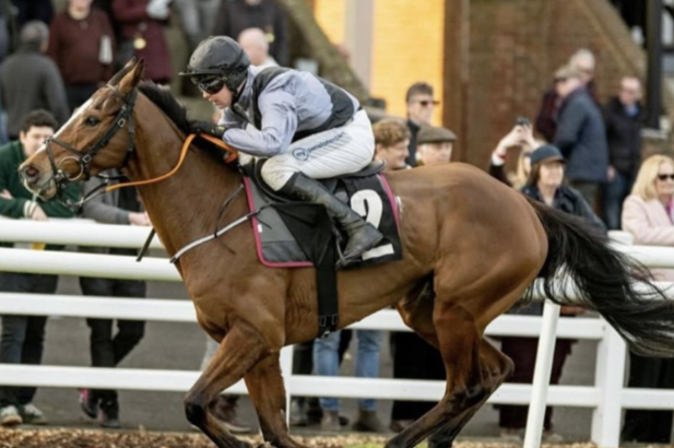 Understanding The Excitement Behind A Horse Race In Pune Today