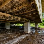 Crawlspace Mold Risks