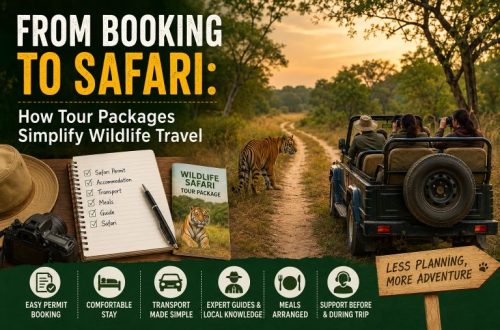 Wildlife Tour Package Guide: From Booking to Safari Made Easy