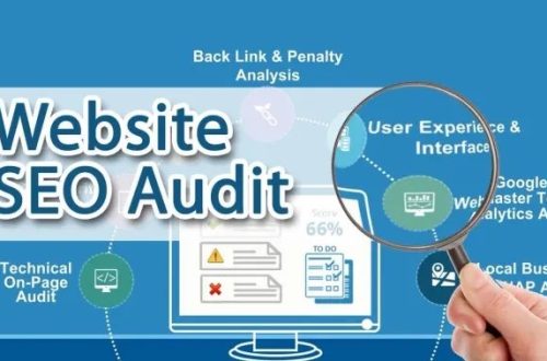 website audit