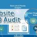 website audit