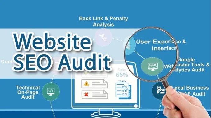 website audit