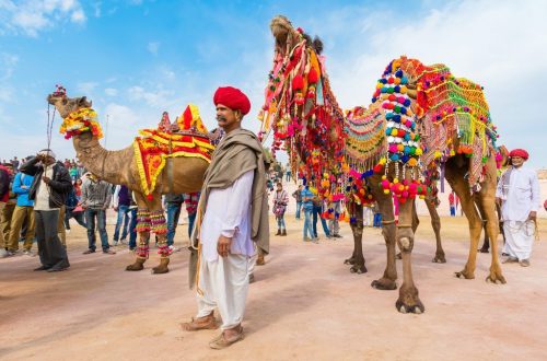https://rajputanaindiatours.com/rajasthan-tour-packages/