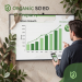 Organic Seo Agency