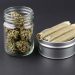 cannabis