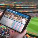 online cricket betting in india
