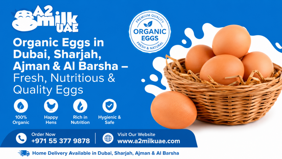 Organic Eggs in Dubai