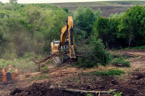 Vegetation Clearance Blackpool